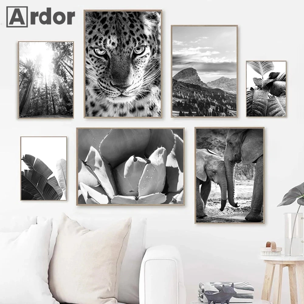 Black White Canvas Painting Elephant Leopard Poster Plants Leaf Wall Art Print Mountain Posters Nordic Wall Pictures Home Decor
Black White Canvas Painting Elephant Leopard Poster Plants Leaf Wall Art Print Mountain Posters Nordic Wall Pictures Home Decor