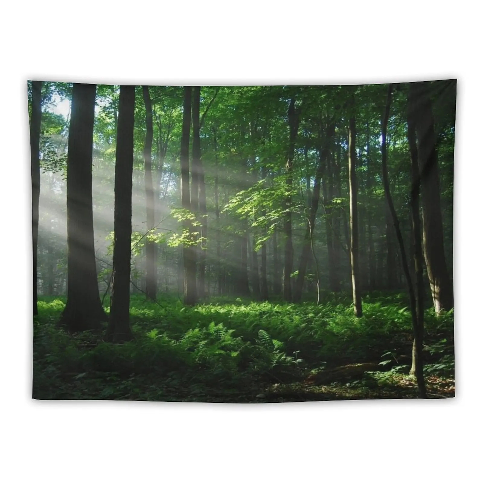 Lighted Forest Tapestry Home Supplies Room Decor Aesthetic Decorative Wall Murals Aesthetic Room Decor Korean Tapestry
Lighted Forest Tapestry Home Supplies Room Decor Aesthetic Decorative Wall Murals Aesthetic Room Decor Korean Tapestry