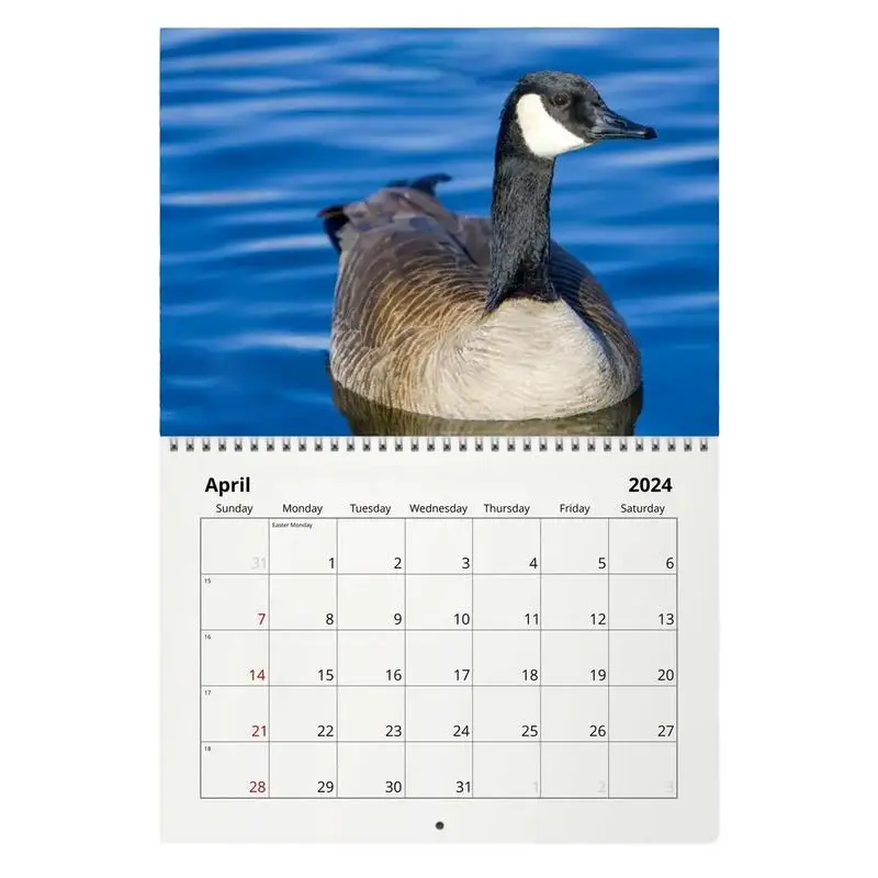 Annual Yearly Wall Planner Wall Planner With Geese Pattern Practical And Fun Annual Yearly Planner For Home Study Room Offices
Annual Yearly Wall Planner Wall Planner With Geese Pattern Practical And Fun Annual Yearly Planner For Home Study Room Offices