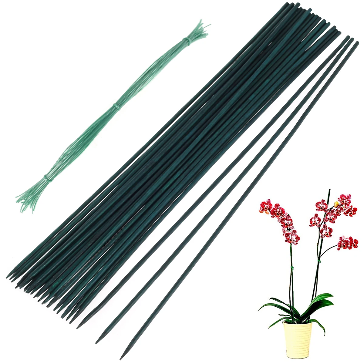 30Pcs Plant Support Stakes 30Pcs Bamboo Floral Support Pole Multipurpose Green Garden Bamboo Sticks with 30Pcs Plant Fixing Ties
30Pcs Plant Support Stakes 30Pcs Bamboo Floral Support Pole Multipurpose Green Garden Bamboo Sticks with 30Pcs Plant Fixing Ties