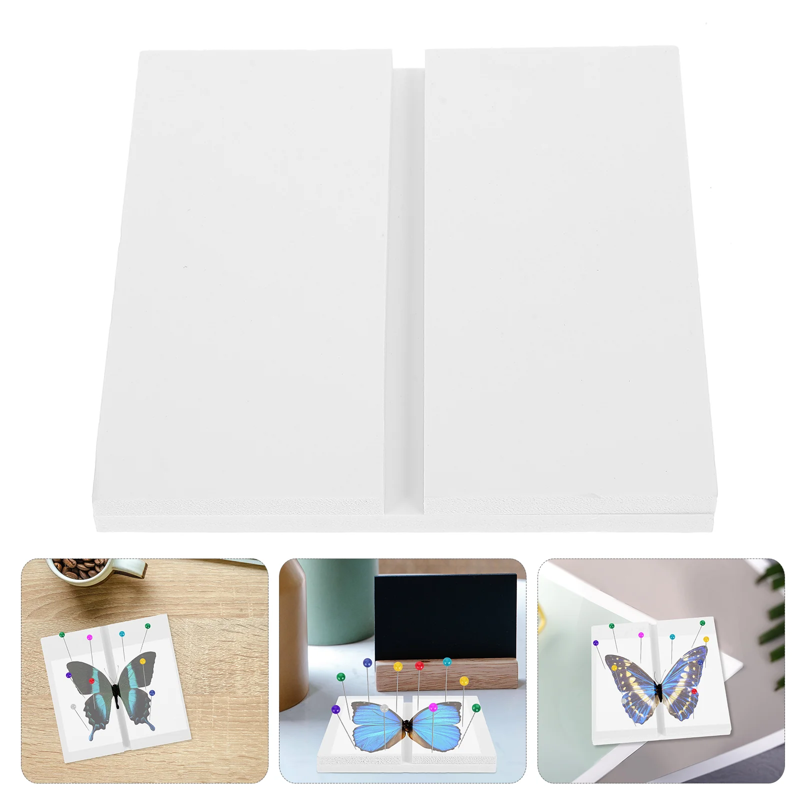 Butterfly Specimen Experiment Teaching Tool Display Shelves Spreading Board Experimental Supply PVC Insect Cabinet
Butterfly Specimen Experiment Teaching Tool Display Shelves Spreading Board Experimental Supply PVC Insect Cabinet