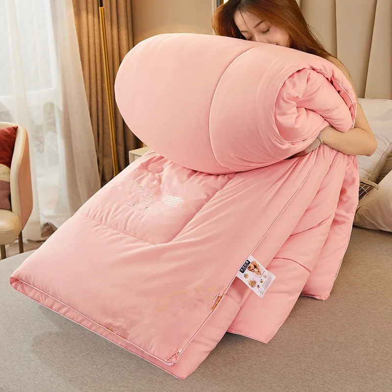 Thickened Fiber Winter Dormitory Core Spring and Autumn Single Double Soybean Quilt
Thickened Fiber Winter Dormitory Core Spring and Autumn Single Double Soybean Quilt