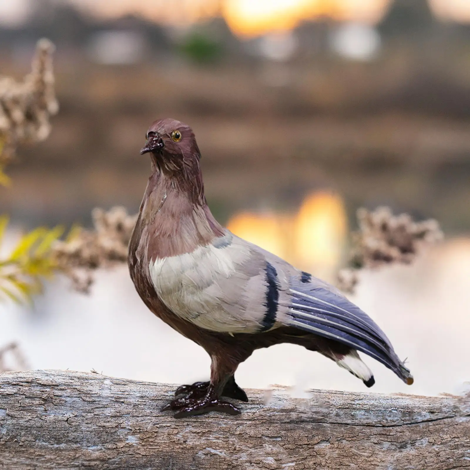 Simulation Pigeon Model Dove Figurine Craft Artificial Feather Backyard Decoration for Party Favors Multipurpose Lightweight
Simulation Pigeon Model Dove Figurine Craft Artificial Feather Backyard Decoration for Party Favors Multipurpose Lightweight