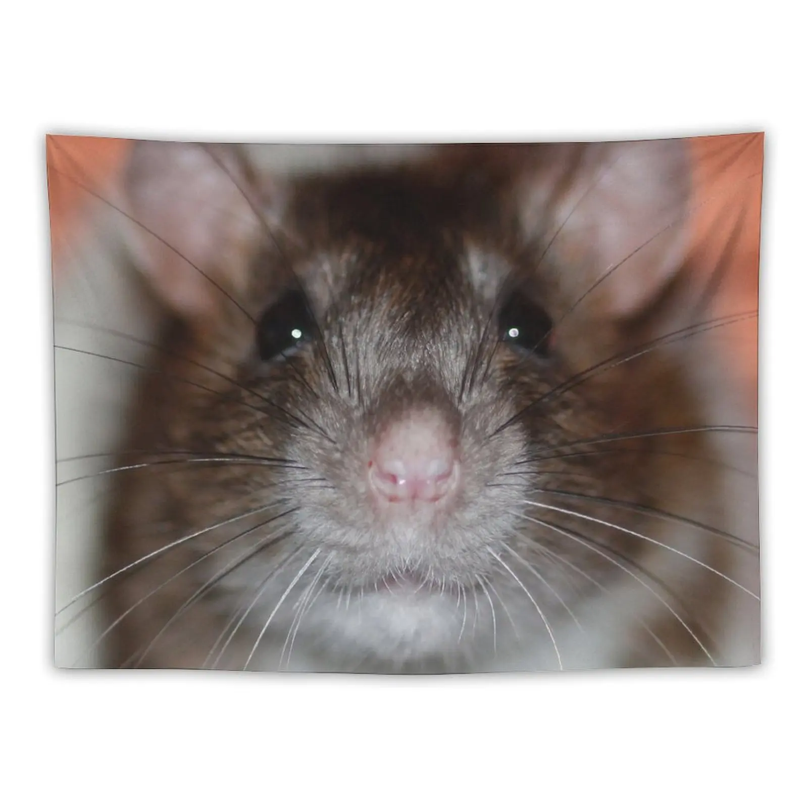 Squeak Posing Tapestry Bed Room Decoration Decorative Wall Room Ornaments Tapestry
Squeak Posing Tapestry Bed Room Decoration Decorative Wall Room Ornaments Tapestry