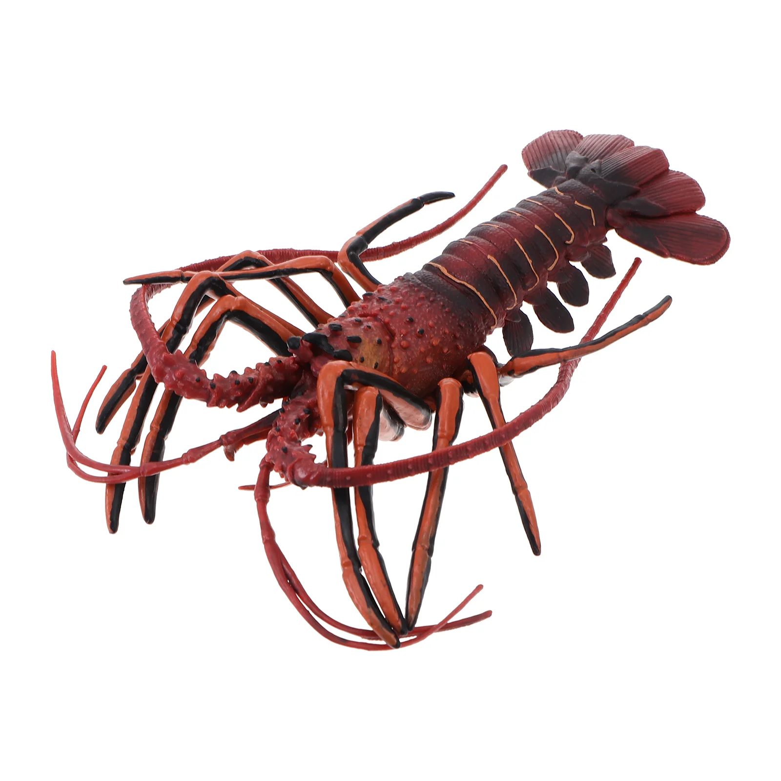 Big Lobster Lobster Model for Aquarium Display Home Decoration Drama Photography Prop Red
Big Lobster Lobster Model for Aquarium Display Home Decoration Drama Photography Prop Red
