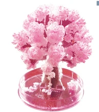 1PCS 2022 90x80mm Magically Paper Sakura Crystal Trees Magic Growing Tree Japan Desktop Cherry Blossom Christmas Science Toys
1PCS 2022 90x80mm Magically Paper Sakura Crystal Trees Magic Growing Tree Japan Desktop Cherry Blossom Christmas Science Toys