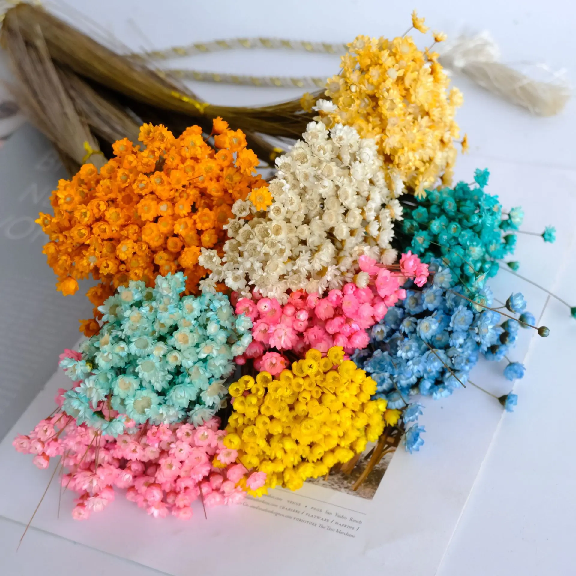 Mini Daisy Decorative Dried Flowers Small Star Flowers Bouquet Natural Plants Preserve Floral for Wedding Home Decorat 30/50pcs
Mini Daisy Decorative Dried Flowers Small Star Flowers Bouquet Natural Plants Preserve Floral for Wedding Home Decorat 30/50pcs