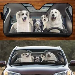 Забавный солнцезащитный козырек от солнца в Пиренеи для детей и мамы
Забавный солнцезащитный козырек от солнца в Пиренеи для детей и мамы