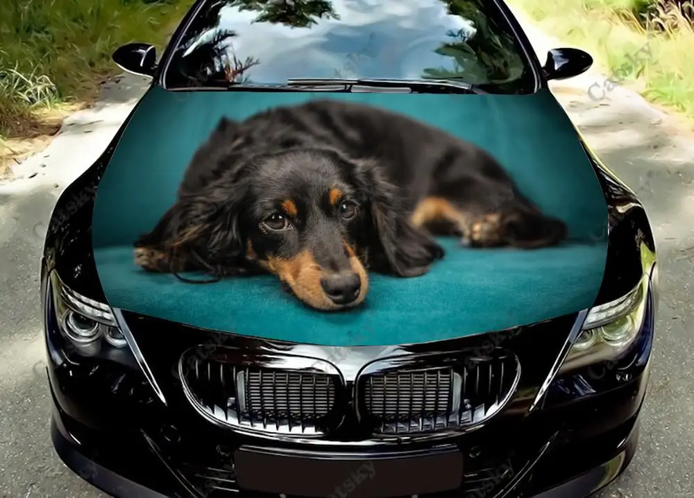 dachshund animal Car Hood Vinyl Stickers Wrap Vinyl Film Engine Cover Decals Sticker on Car Auto Accessories
dachshund animal Car Hood Vinyl Stickers Wrap Vinyl Film Engine Cover Decals Sticker on Car Auto Accessories