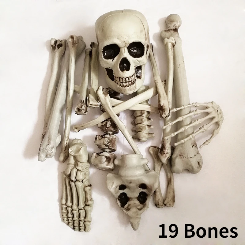 Halloween Skeleton,Bone Part Realistic Human Skeleton,Scattered Skeleton for Best Halloween Decoration IndoorOutdoor Lawn Stakes
Halloween Skeleton,Bone Part Realistic Human Skeleton,Scattered Skeleton for Best Halloween Decoration IndoorOutdoor Lawn Stakes