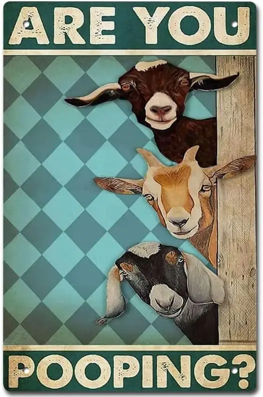 Retro Tin Sign Funny Metal Tin Signs Funny Goat Signs, are You Pooping Signs, Nice Wall Art, Your Napkins Signs, Farming
Retro Tin Sign Funny Metal Tin Signs Funny Goat Signs, are You Pooping Signs, Nice Wall Art, Your Napkins Signs, Farming