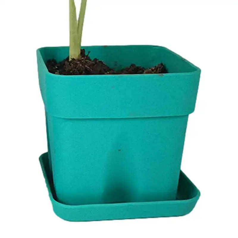 Seed Tray Garden Silicone Seedling Tray Soft Silicone Garden Seedling Pots Seedling Trays Seed Tray For Greenhouse & Gardens
Seed Tray Garden Silicone Seedling Tray Soft Silicone Garden Seedling Pots Seedling Trays Seed Tray For Greenhouse & Gardens
