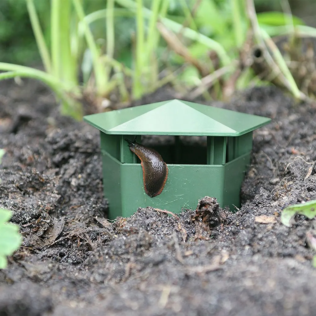 8piece Convenient Insect Trap Catch And Control Pests Effortlessly Odorless Slugs Snails Catcher
8piece Convenient Insect Trap Catch And Control Pests Effortlessly Odorless Slugs Snails Catcher