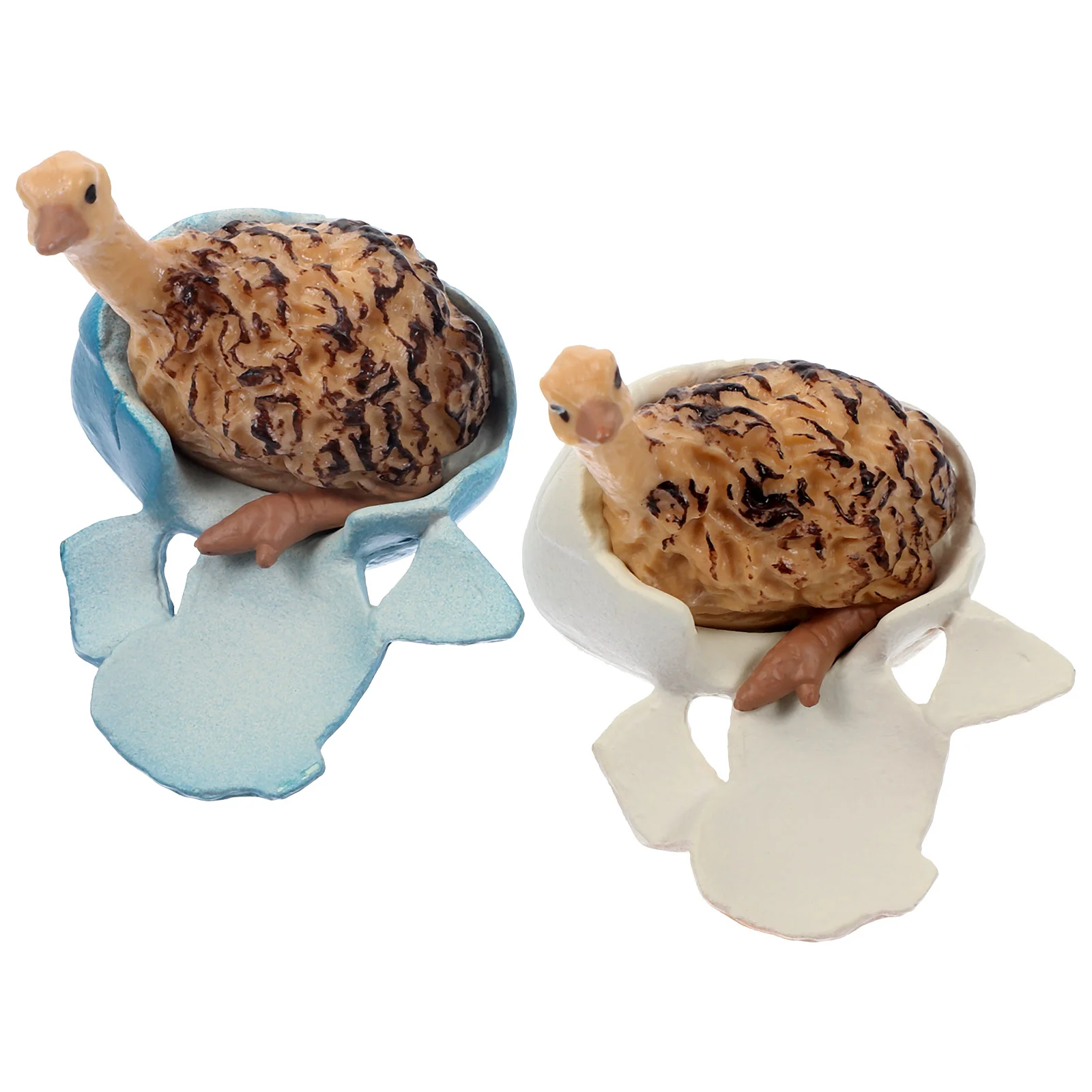 Ostrich Figurine Ostrich Figure Toy Bird Egg Toy Simulation Lifelike Plastic Hand Painted Coloring Wild Animals Ostrich
Ostrich Figurine Ostrich Figure Toy Bird Egg Toy Simulation Lifelike Plastic Hand Painted Coloring Wild Animals Ostrich