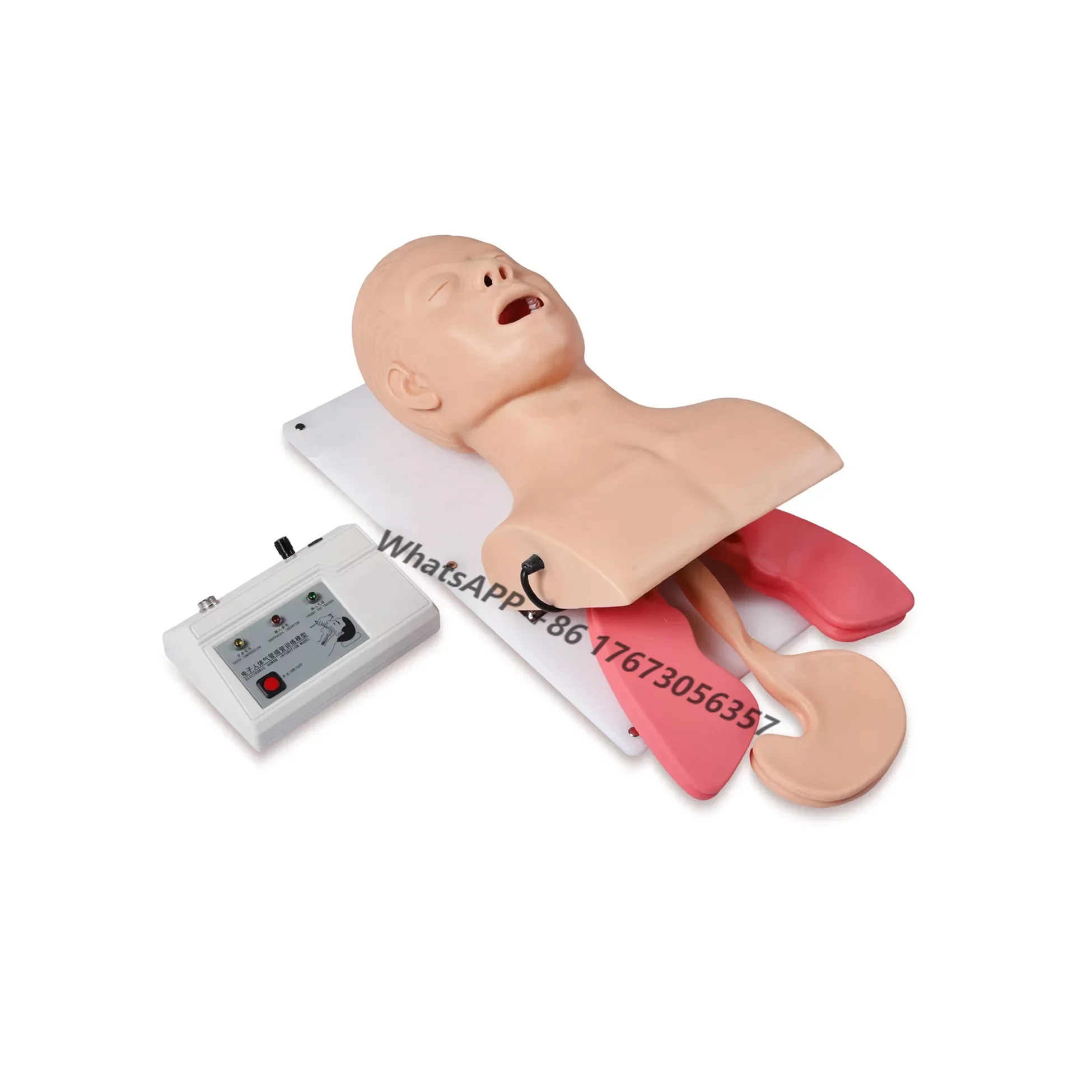 

Electronic Multi-functional Airway Management Model and Tracheal Intubation Manikin with Alarm Suction Tubing Training Model