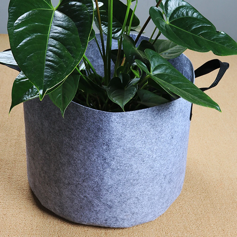 Thickened Non-Woven Balcony Planting Bag Garden Balcony Planting Bag Flower Pot Bag Garden Supplies
Thickened Non-Woven Balcony Planting Bag Garden Balcony Planting Bag Flower Pot Bag Garden Supplies