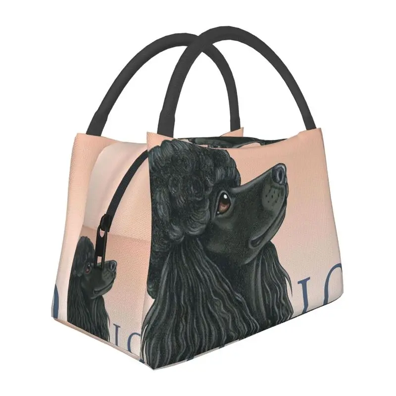 Poodle Black Love Insulated Lunch Tote Bag for Women Pudel Caniche Portable Thermal Cooler Food Lunch Box Work Travel
Poodle Black Love Insulated Lunch Tote Bag for Women Pudel Caniche Portable Thermal Cooler Food Lunch Box Work Travel