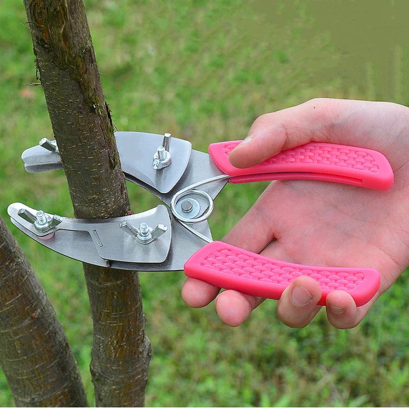 Grafting Tool Peeling Shears Plant Cutter Ring Shaped Fruit Tree Peeler Bark Stripping Cutting Garden Alloy Steel Girdling Knife
Grafting Tool Peeling Shears Plant Cutter Ring Shaped Fruit Tree Peeler Bark Stripping Cutting Garden Alloy Steel Girdling Knife