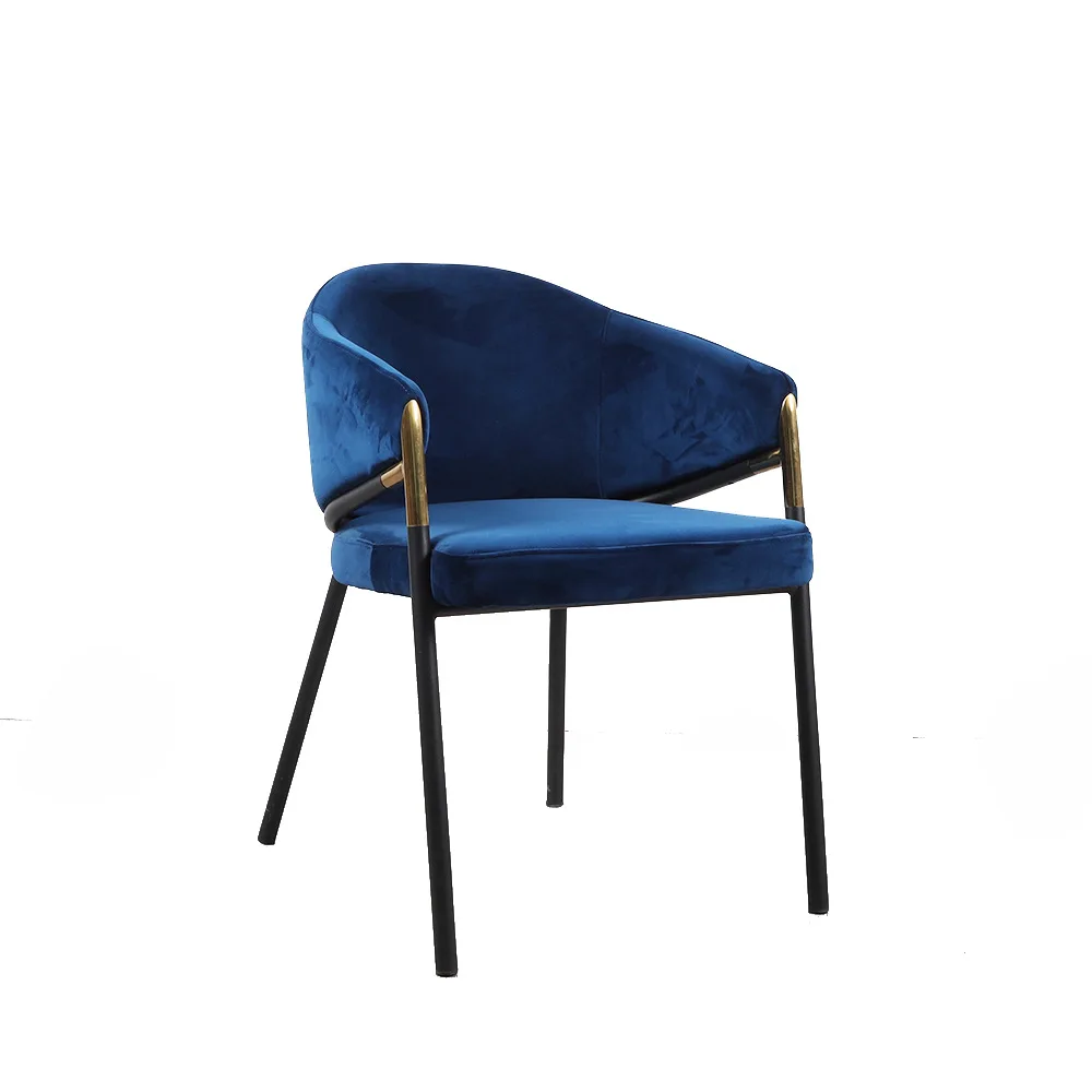 Light Luxury Dining Chair Minimalist Blue Fleece Armrest Hotel Cafe Leisure Dining Chair
Light Luxury Dining Chair Minimalist Blue Fleece Armrest Hotel Cafe Leisure Dining Chair