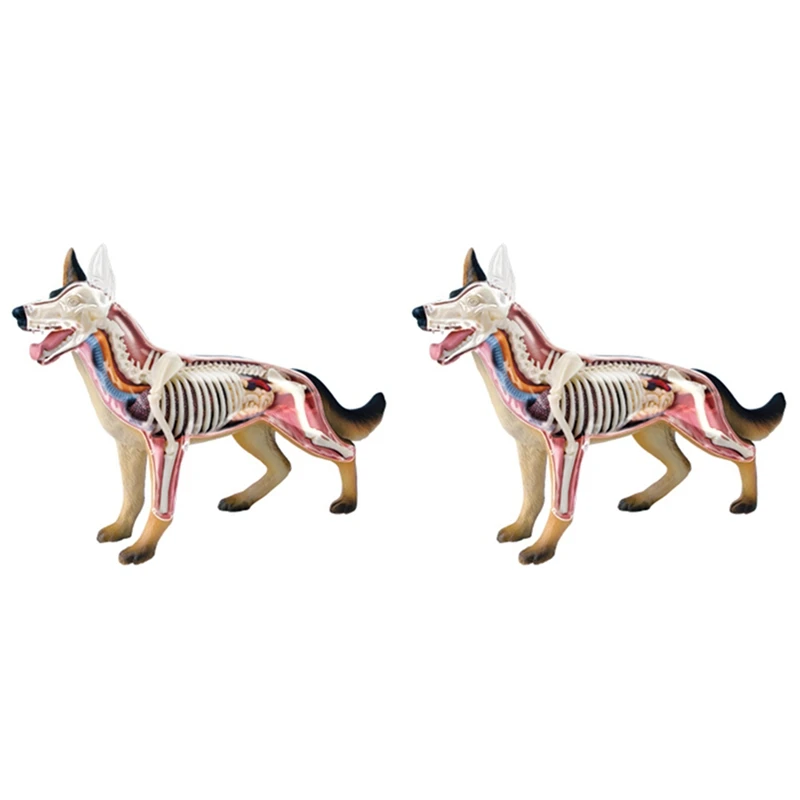 2X Animal Organ Anatomy Model 4D Dog Intelligence Assembling Toy Teaching Anatomy Model DIY Popular Science Appliances
2X Animal Organ Anatomy Model 4D Dog Intelligence Assembling Toy Teaching Anatomy Model DIY Popular Science Appliances