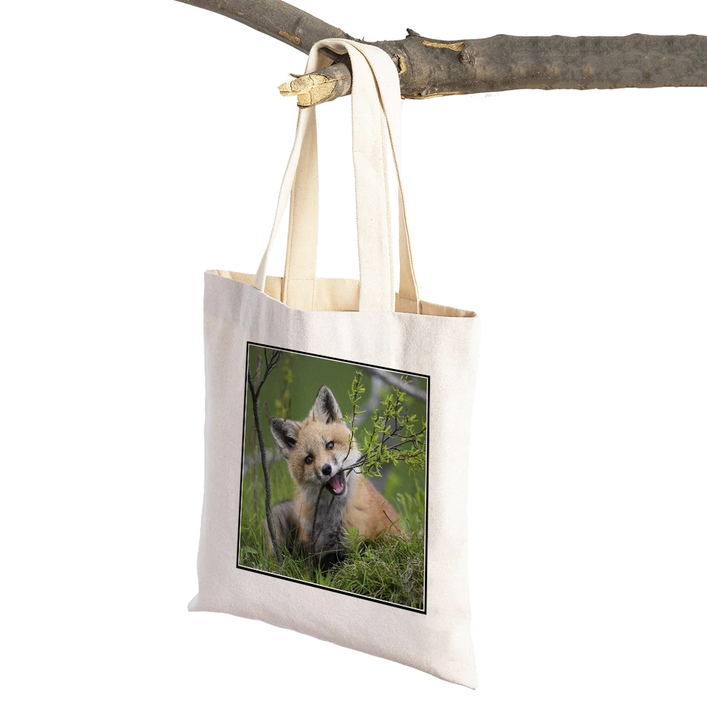 

Холщовые сумки для покупок для женщин, двухсторонняя Складная Женская сумочка-Шоппер с изображением диких животных, лисы, дорожная Складная Сумка-тоут для супермаркета