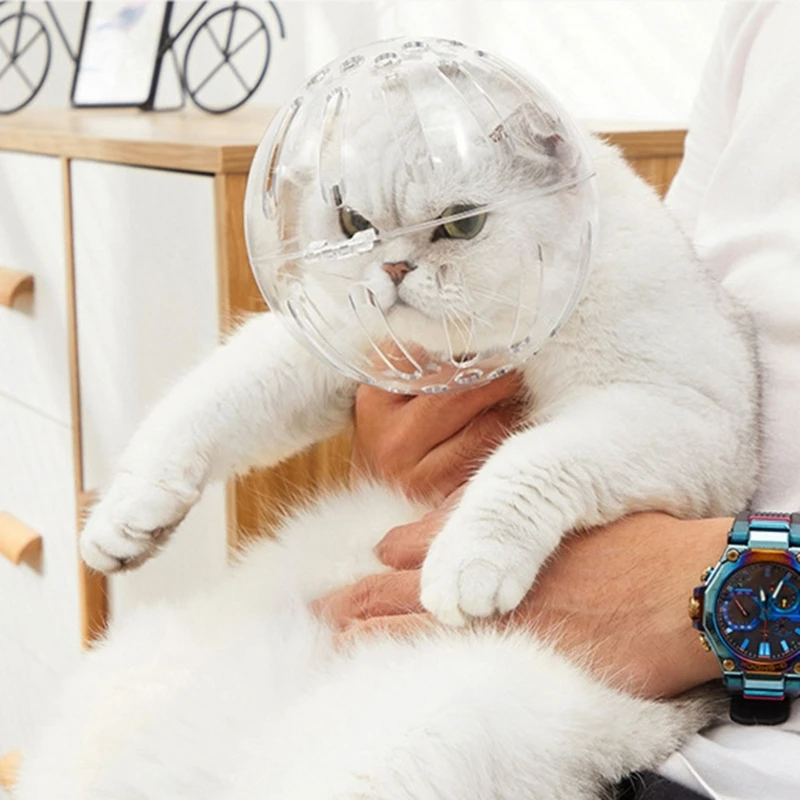 Cats Muzzles Breathable Transparent Muzzle Grooming Mask Astronaut Helmet Updated Vent Holes Anti-Bite for Nail Trimming
Cats Muzzles Breathable Transparent Muzzle Grooming Mask Astronaut Helmet Updated Vent Holes Anti-Bite for Nail Trimming