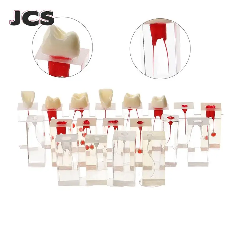 1pcs Dental Endodontics Endo Tooth Teeth Root Canal Models For RCT Studying Teaching Training Practice
1pcs Dental Endodontics Endo Tooth Teeth Root Canal Models For RCT Studying Teaching Training Practice