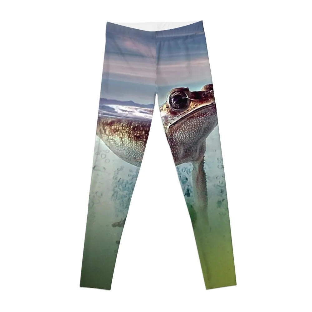 Surfs Up! Floating Fog from Fonebook Leggings trousers Sportswear woman gym sports shirts gym jogging pants Womens Leggings
Surfs Up! Floating Fog from Fonebook Leggings trousers Sportswear woman gym sports shirts gym jogging pants Womens Leggings