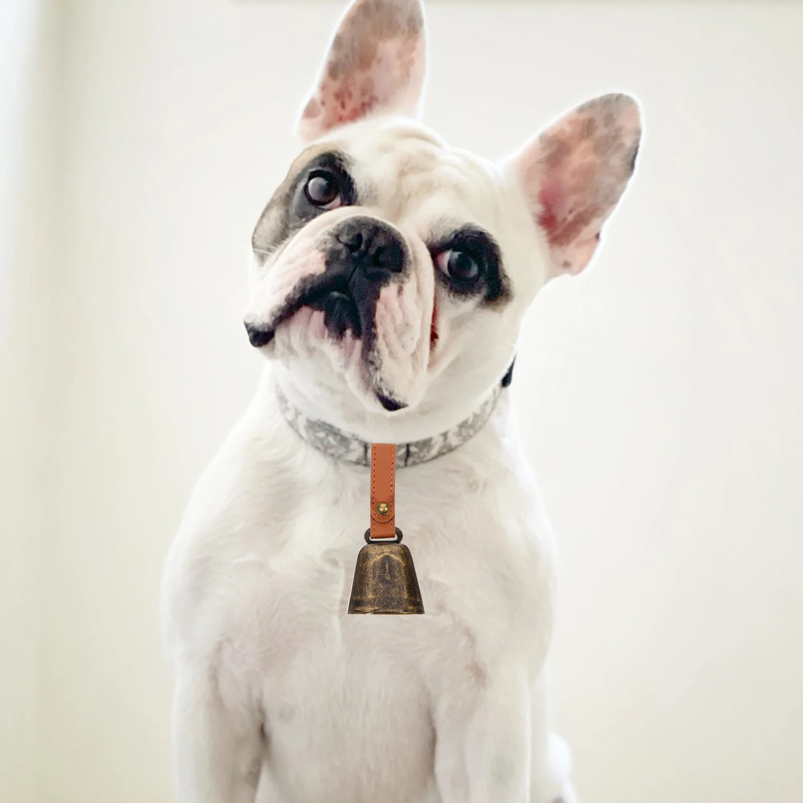 Iron Bell Accessory Pet Collar Bell Pendant Party Hanging Bell Dooration Vintage Portable Dog Bell Diy Ornament Accessory
Iron Bell Accessory Pet Collar Bell Pendant Party Hanging Bell Dooration Vintage Portable Dog Bell Diy Ornament Accessory