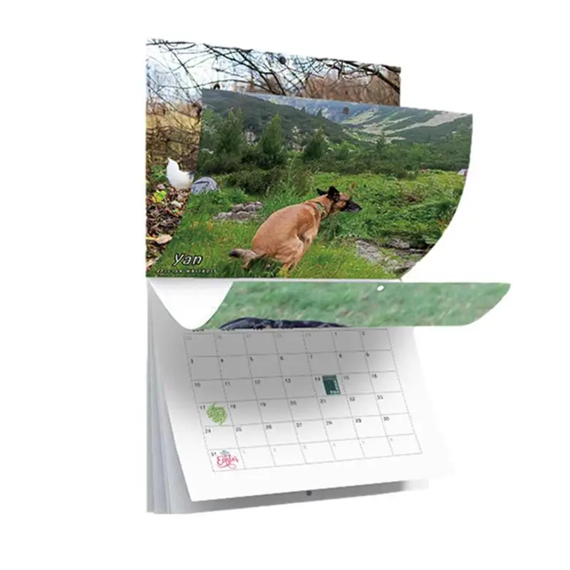 

Time Piece Calendar 2024 Dogs Pooping In Beautiful Places 2024 New Calendar 12 Months Poop Dog Calender For Living Room