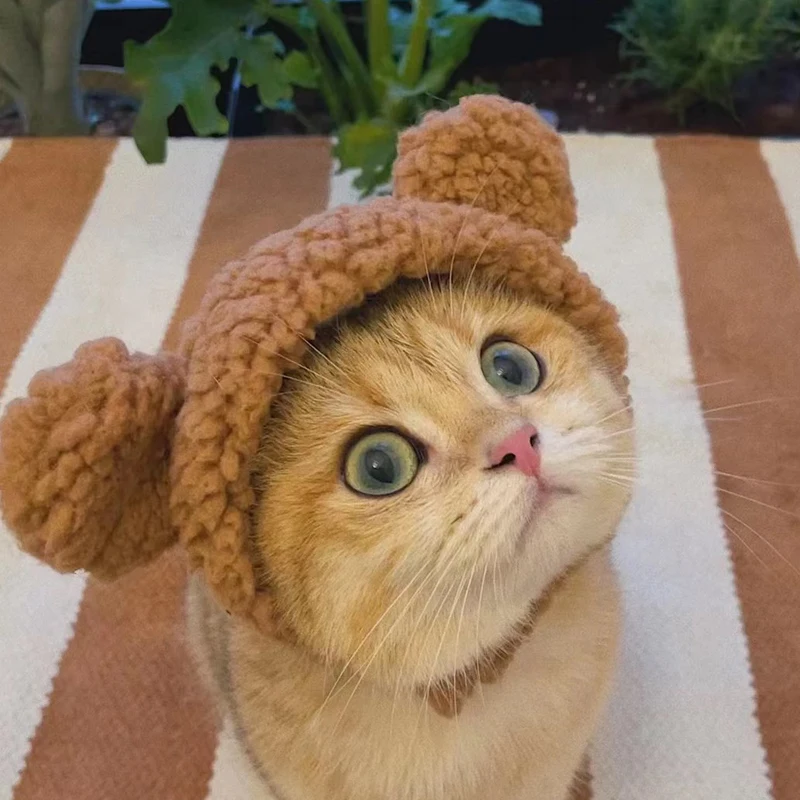 Se47c4dbff751427280a39921738d75e4J