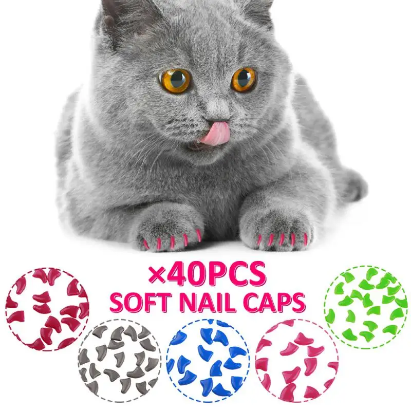 

Colorful Cat Nail Caps Silicone Soft Cat Fingernail Cover Cat Paw Claw Pet Nail Protector With Free Glue Pet Supplies