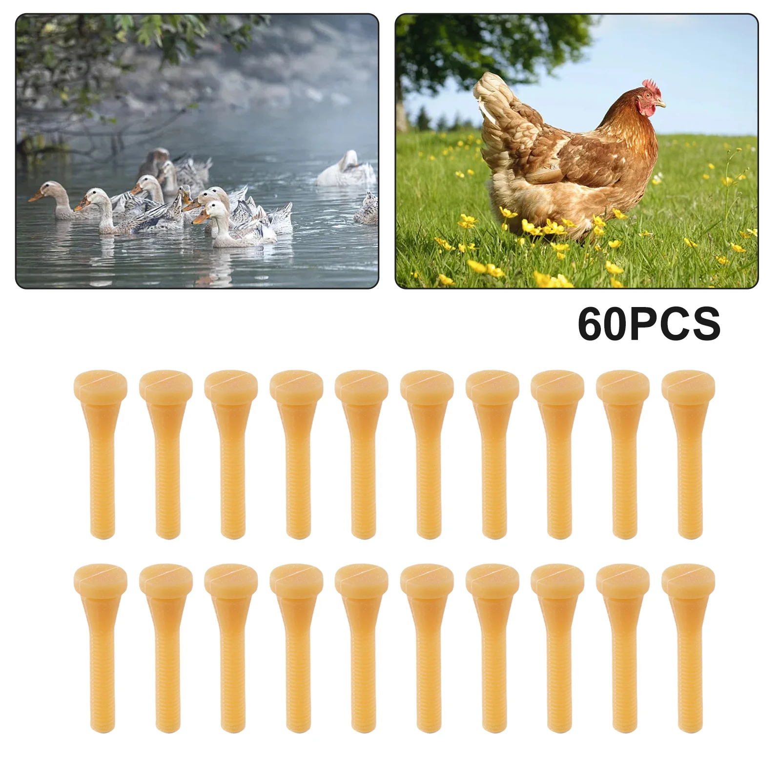 Goose Chicken Tool Accessories Machine Ducks Rubber 60Pcs Poultry Feather Plucking Remover Finger High Quality
Goose Chicken Tool Accessories Machine Ducks Rubber 60Pcs Poultry Feather Plucking Remover Finger High Quality