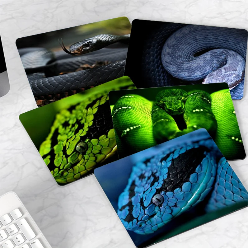 Snake DIY Speed Version Game Computer Keyboard Office Table Mat Cheapest Cup Mats For PC Computer Table
Snake DIY Speed Version Game Computer Keyboard Office Table Mat Cheapest Cup Mats For PC Computer Table