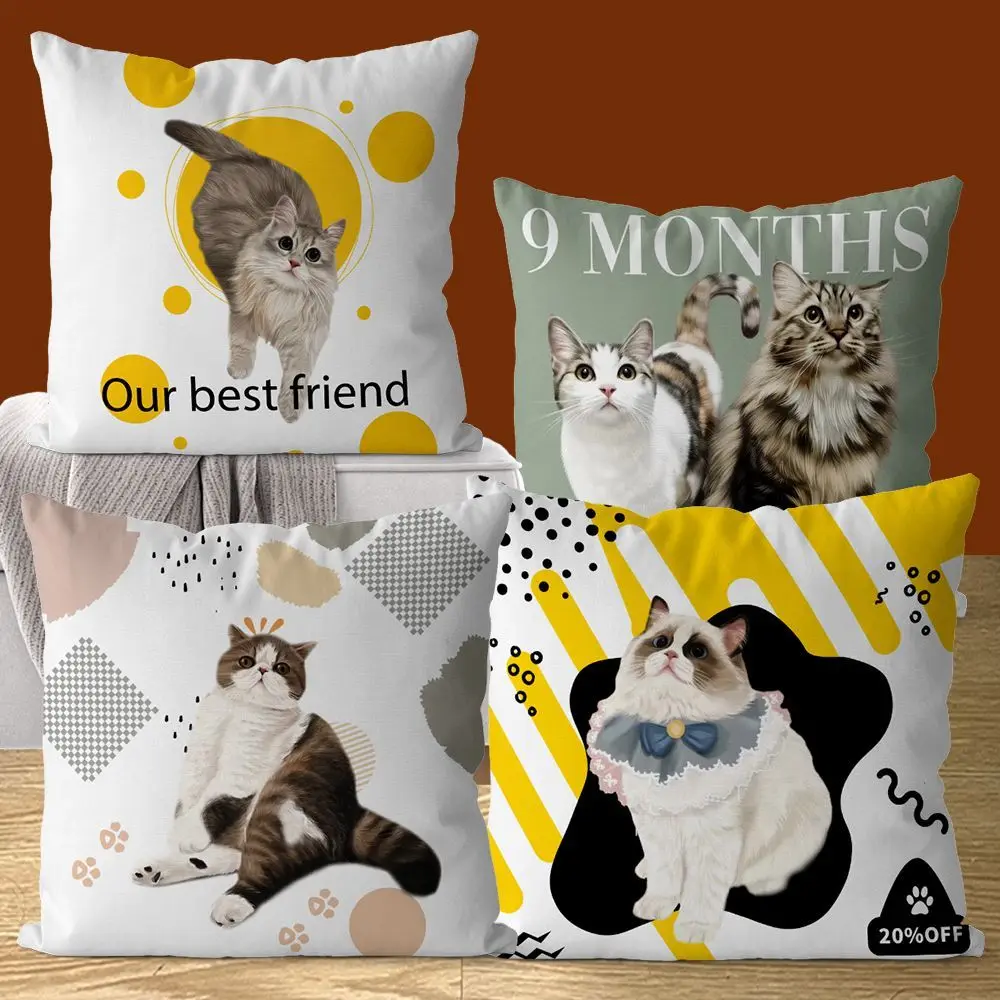 Cute Cat Pillowcase Family Pet Cat Pillows Case for Girls Room Gift for Kids Boy Girl Garden Chair Pillow Cover Pillow Covers
Cute Cat Pillowcase Family Pet Cat Pillows Case for Girls Room Gift for Kids Boy Girl Garden Chair Pillow Cover Pillow Covers