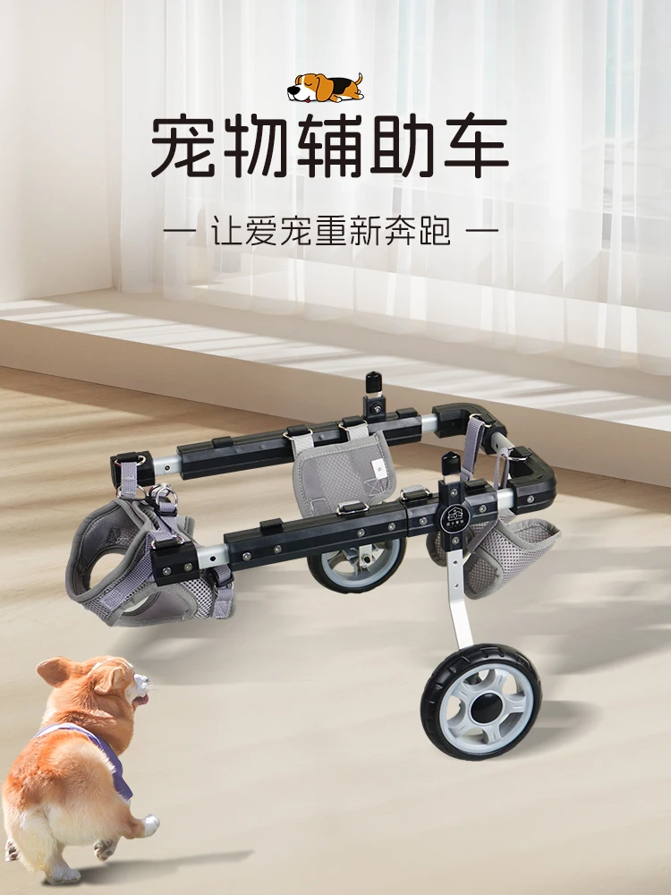 Dog Wheelchair For Hind Limb Paralysis Rehabilitation Cart For Small Puppies Assisted Walking For Cats And Teddy
Dog Wheelchair For Hind Limb Paralysis Rehabilitation Cart For Small Puppies Assisted Walking For Cats And Teddy