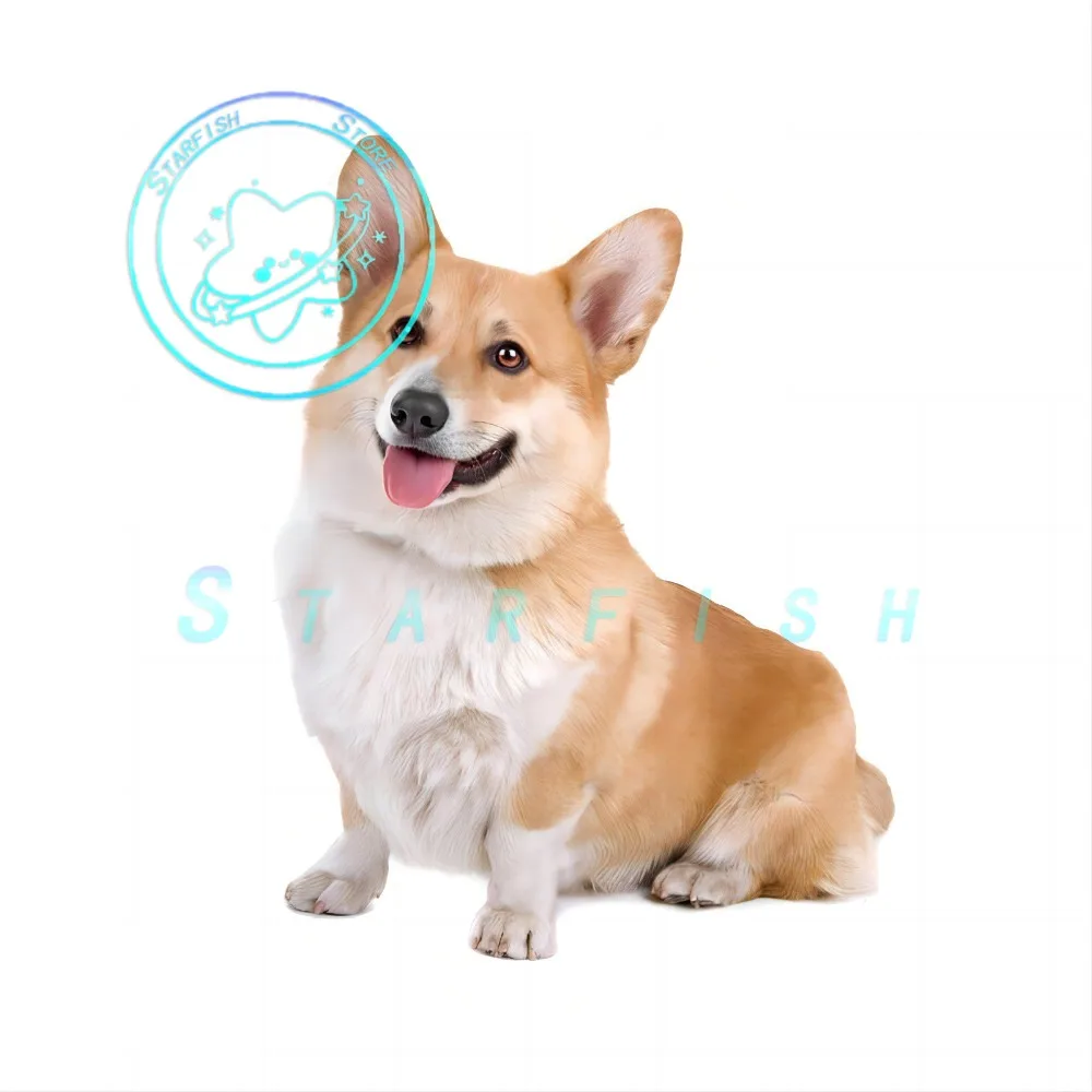 Corgi Dog Cute Car Decal Vinyl Car Packaging DIY Decal Windows RV Waterproof Sun Protection
Corgi Dog Cute Car Decal Vinyl Car Packaging DIY Decal Windows RV Waterproof Sun Protection
