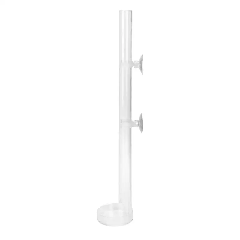 Acrylic Shrimp Feeding Tube Shrimp Feeder Tray With Suction Cups Transparent Fish Tank Dish Clear Acrylic Aquarium Feeder Tube
Acrylic Shrimp Feeding Tube Shrimp Feeder Tray With Suction Cups Transparent Fish Tank Dish Clear Acrylic Aquarium Feeder Tube