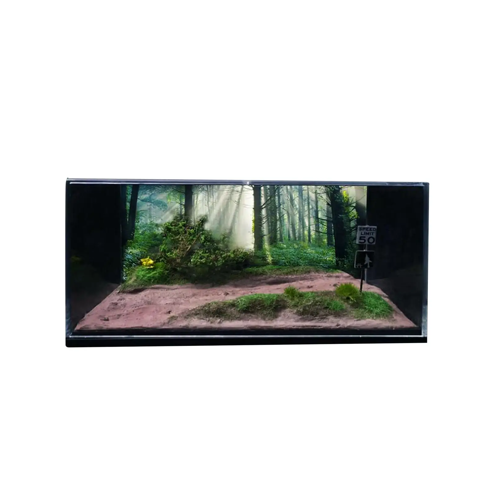 

1/64 Model Car Scene Diorama Simulation with Display Case Forest Country Road Backdrop for Car Model Vehicle Scene Toy Ornament