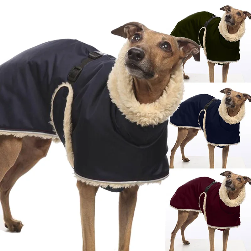 Dog Jacket Whippet Greyhound Fleece Lined Dog Jacket Winter Warm Dog Clothes Waterproof Thick Dog Jacket Clothing Multi Colors
Dog Jacket Whippet Greyhound Fleece Lined Dog Jacket Winter Warm Dog Clothes Waterproof Thick Dog Jacket Clothing Multi Colors