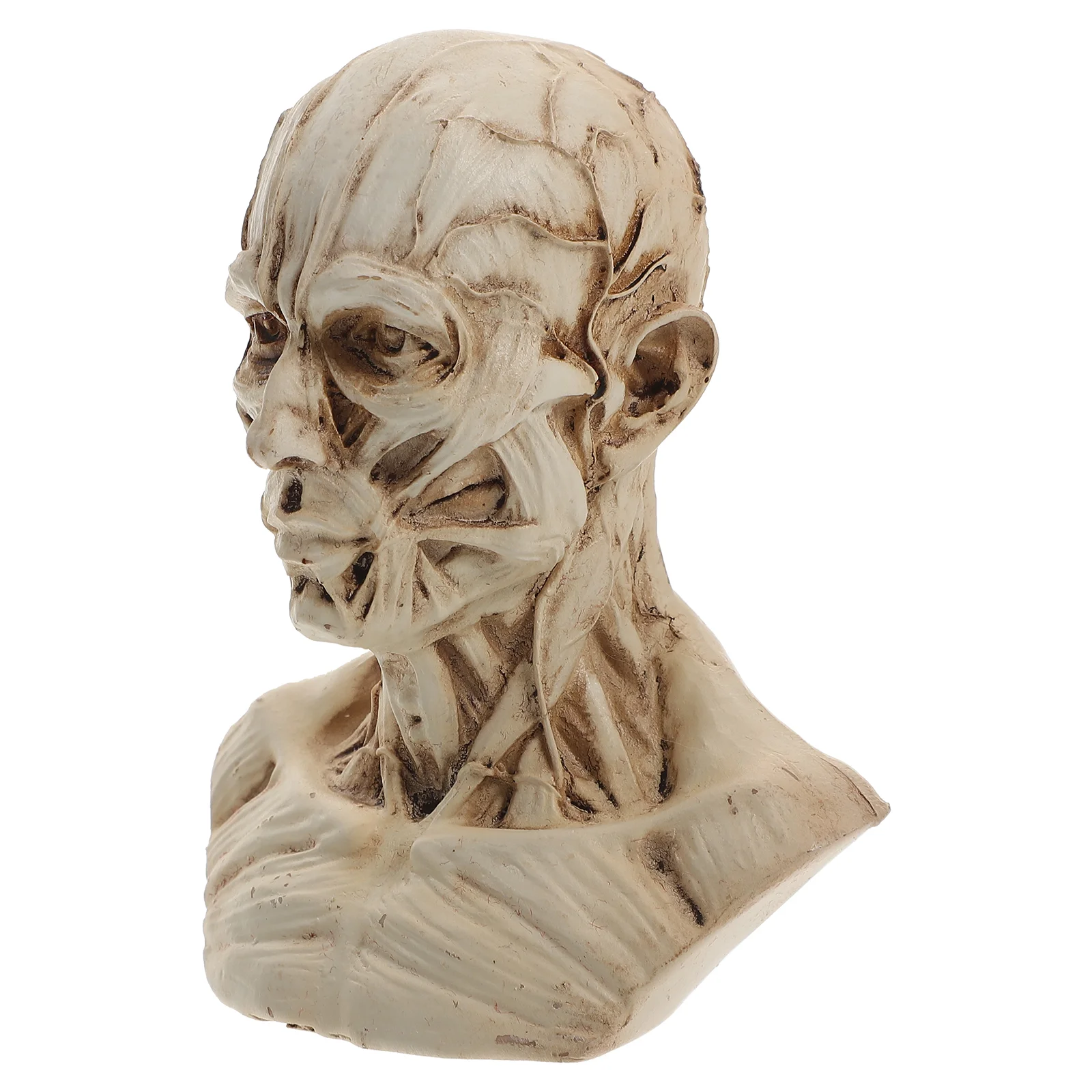 Dining Room Table Decor Human Model Anatomy Skull Head Muscle Bone Resin Model Sketch Figurine Artist Drawing Study Office Bar
Dining Room Table Decor Human Model Anatomy Skull Head Muscle Bone Resin Model Sketch Figurine Artist Drawing Study Office Bar
