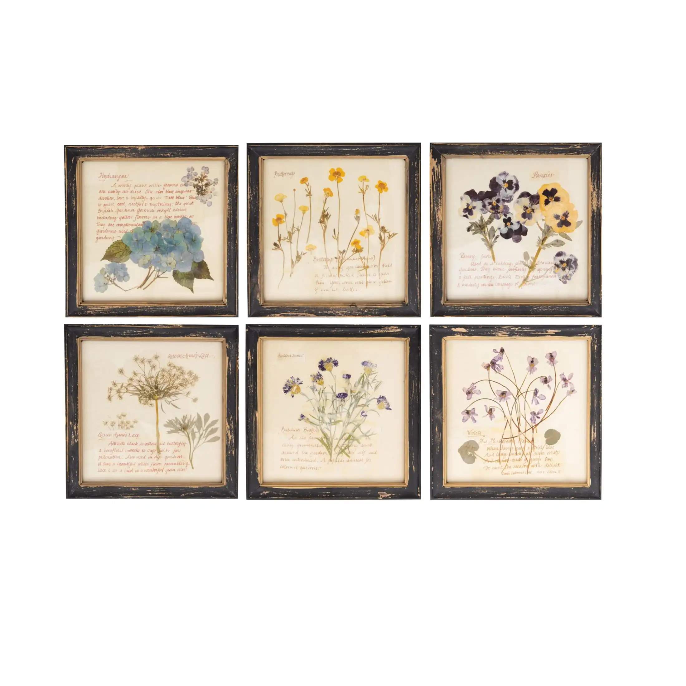 

Woven Paths Square Wood Framed Wall Decor with Floral Images (Set of 6 Designs) Durable Low-profil Luxurious Colorfast