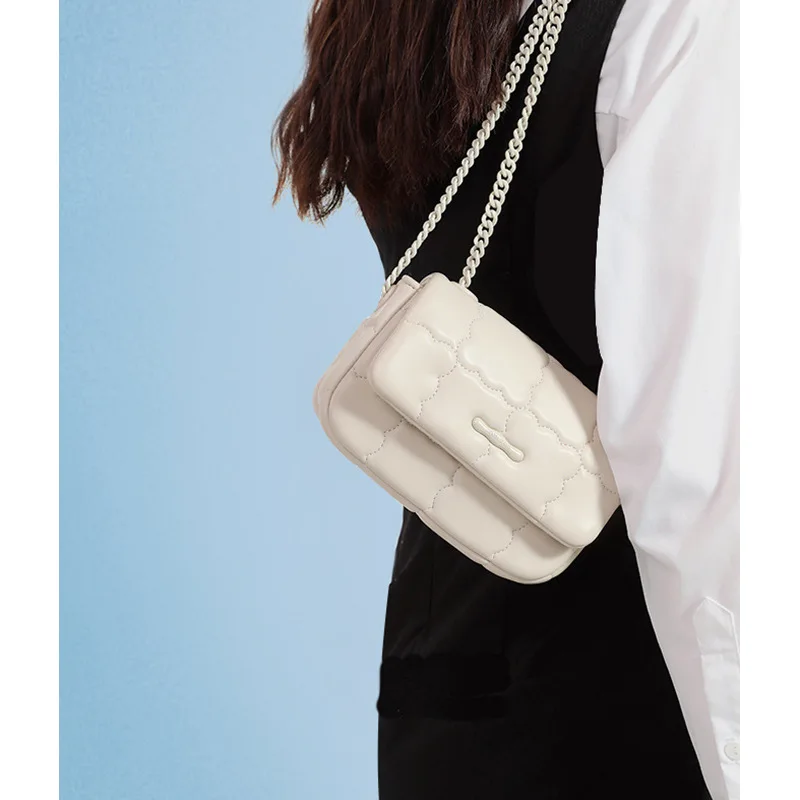Niche Design Chain Bag Female Summer New Fashion all-in-one Single Shoulder Crossbody Bag Female Small Fragrance Female Bag
Niche Design Chain Bag Female Summer New Fashion all-in-one Single Shoulder Crossbody Bag Female Small Fragrance Female Bag
