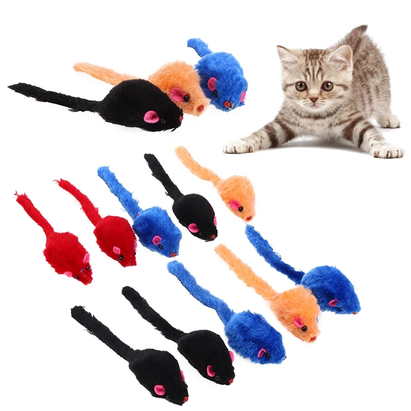 5Pcs Mini Multicolor Cat Toys Plush False Mouse Training Toy For Cats Animal Funny Playing Scratch Pet Kitten Products Supplies
5Pcs Mini Multicolor Cat Toys Plush False Mouse Training Toy For Cats Animal Funny Playing Scratch Pet Kitten Products Supplies