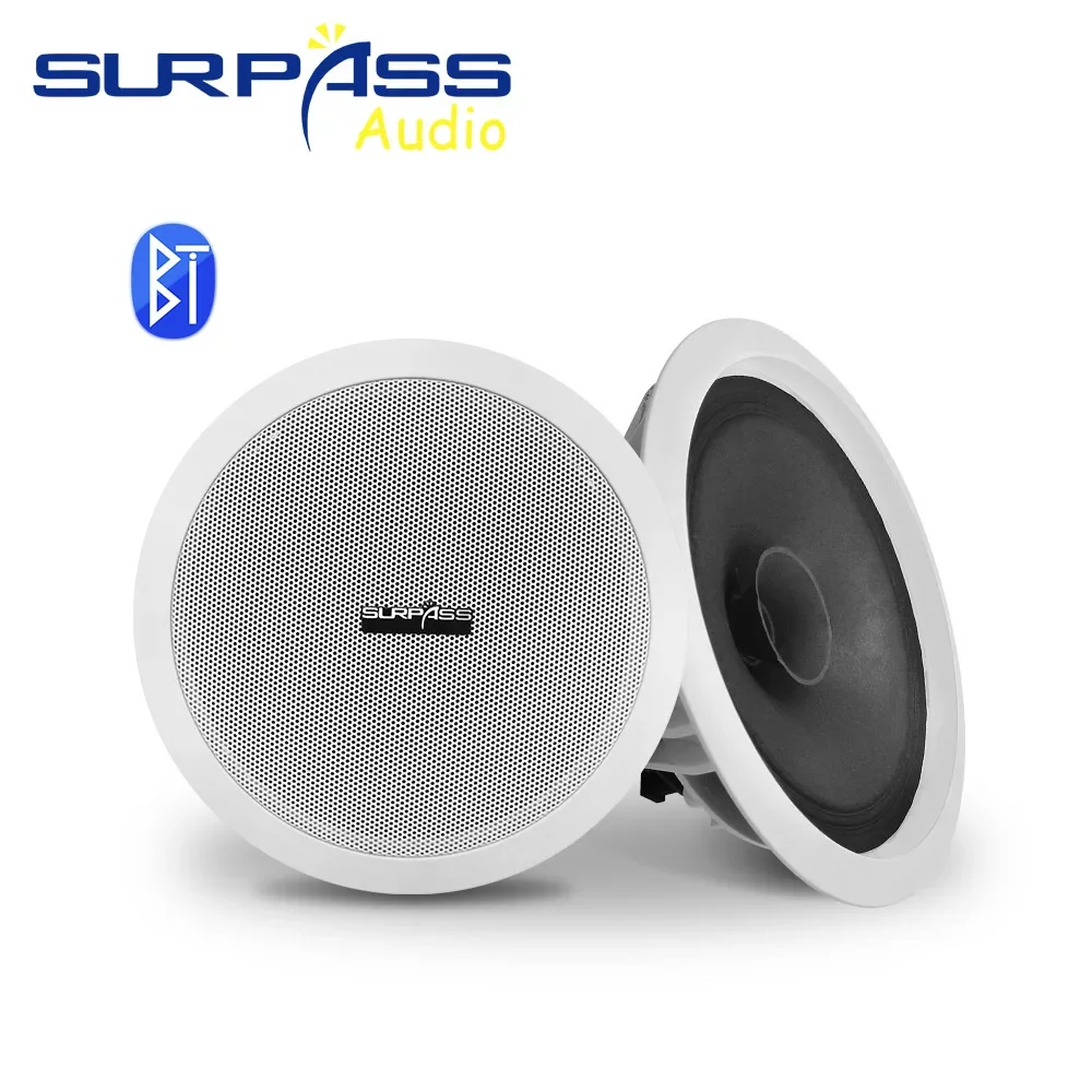 Потолочный Bluetooth-динамик 10 Вт, встроенный усилитель класса D, Домашнее аудио, HiFi стерео звук, система PA, фоновая музыка, коаксиальный динамик
Потолочный Bluetooth-динамик 10 Вт, встроенный усилитель класса D, Домашнее аудио, HiFi стерео звук, система PA, фоновая музыка, коаксиальный динамик