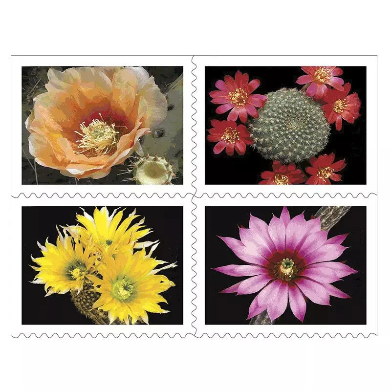 

Кактус цветы навсегда марки 2019 неиспользованные почтовые расходы с почтовым знаком для коллекционирования