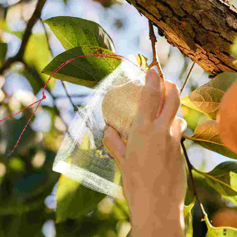 100pcs Garden Fruit Bags Drawstring Fruit Netting Bags Mesh Insects Bugs Barrier Bags Small Netting Bags
100pcs Garden Fruit Bags Drawstring Fruit Netting Bags Mesh Insects Bugs Barrier Bags Small Netting Bags