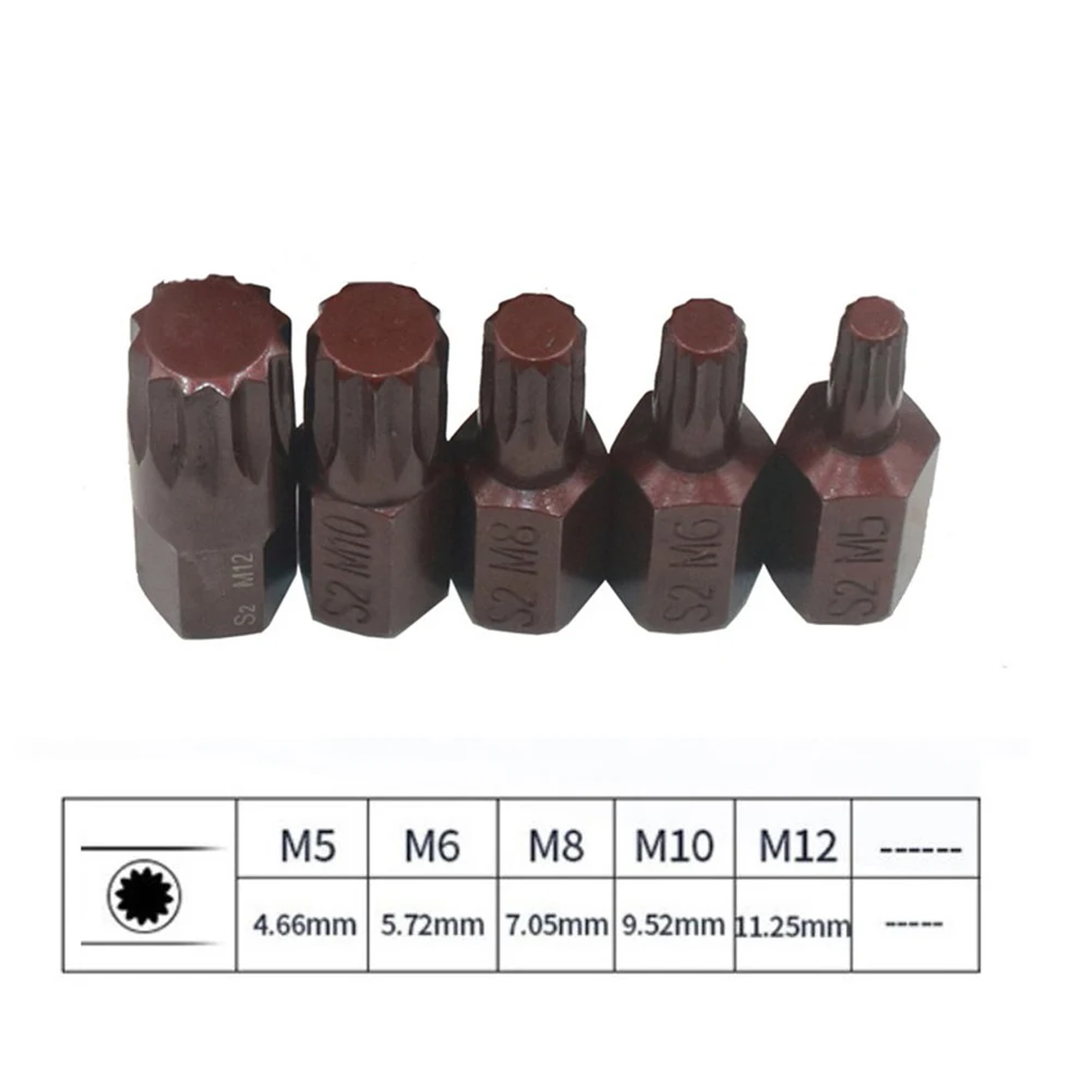 5pcs M5-M12 30mm Star Screwdriver Bit 10mm Hex Shank Alloy Steel Magnetic Screwdriver Bits For Impact Screwdriver Hand Tools
5pcs M5-M12 30mm Star Screwdriver Bit 10mm Hex Shank Alloy Steel Magnetic Screwdriver Bits For Impact Screwdriver Hand Tools