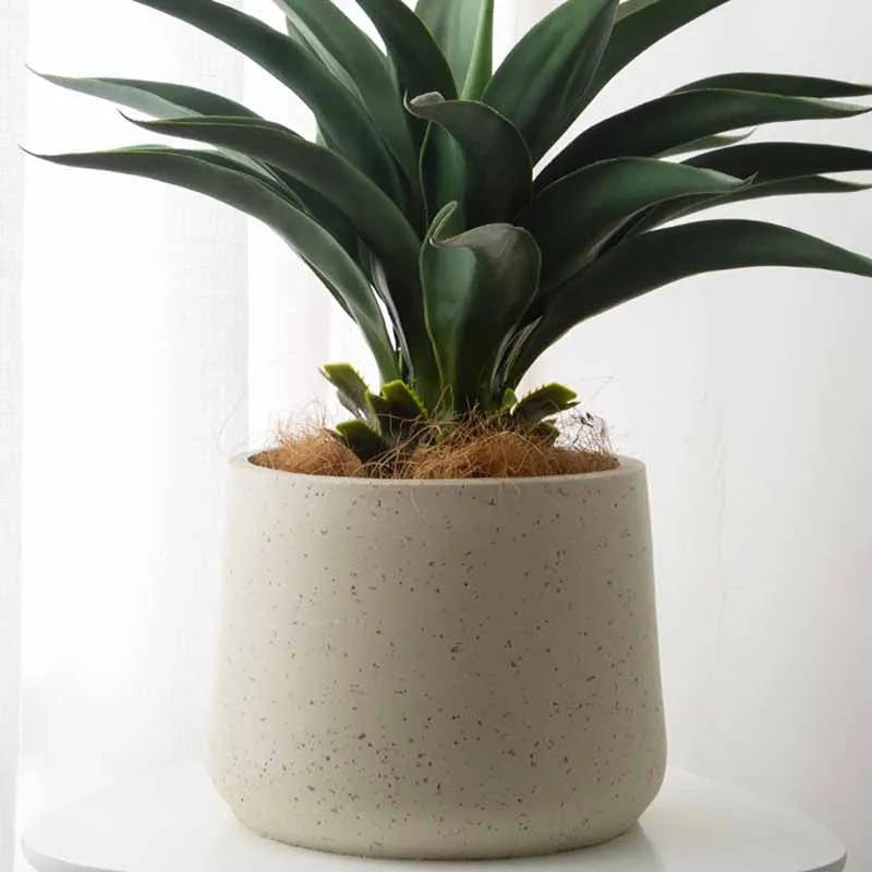 Hydroponics Planters Raised Garden Pots Bonsai Farmhouse Garden Pots Ikebana Cactus Balcony Doniczki Na Kwiaty Plant Accessories
Hydroponics Planters Raised Garden Pots Bonsai Farmhouse Garden Pots Ikebana Cactus Balcony Doniczki Na Kwiaty Plant Accessories