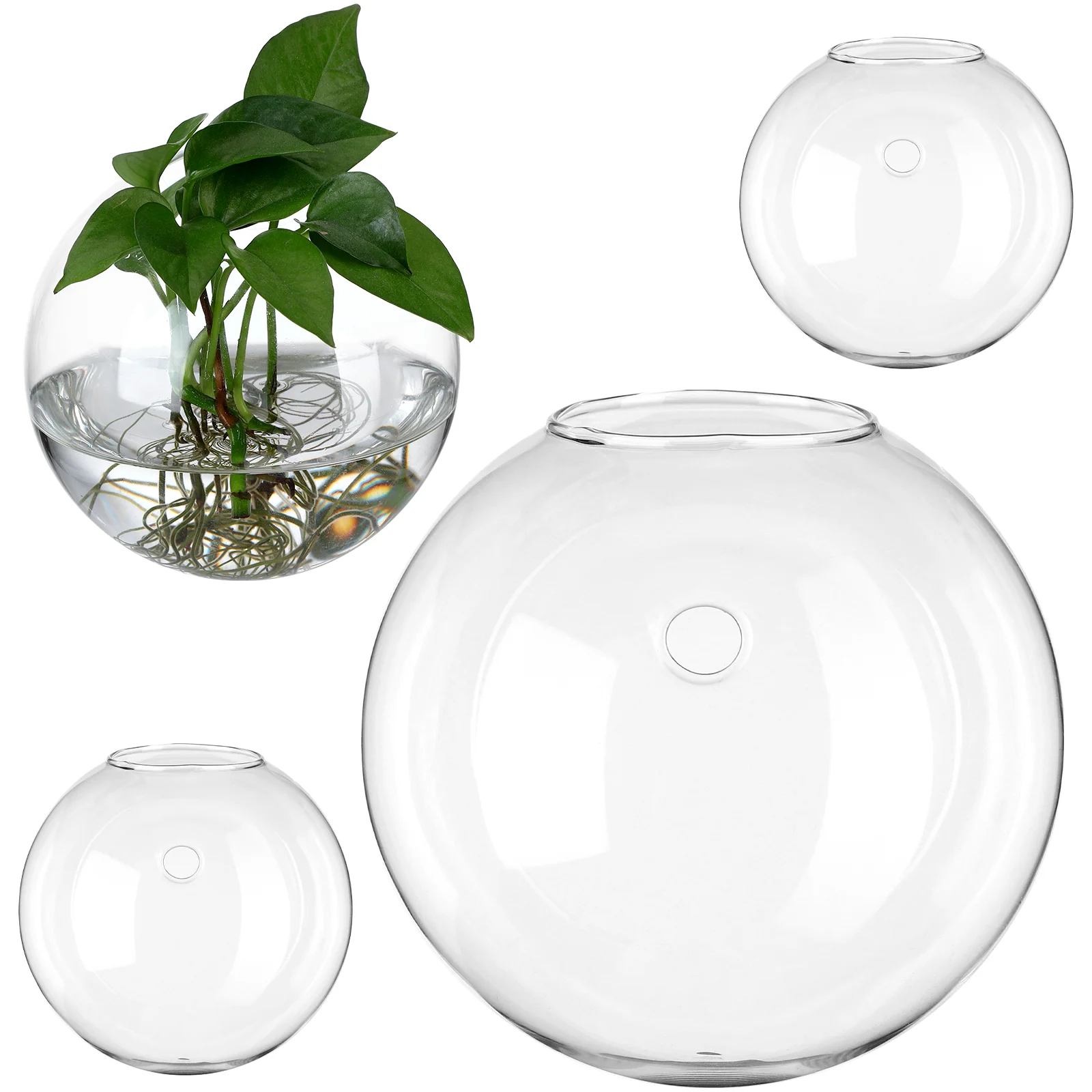 4 Pcs Indoor Plant Pots Glass Vase Hanging Planters For Plants Round Wall Propagation Station Terrarium Stand Vases Flowers
4 Pcs Indoor Plant Pots Glass Vase Hanging Planters For Plants Round Wall Propagation Station Terrarium Stand Vases Flowers